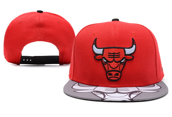 NBA Chicago Bulls NE Snapback Hat #287